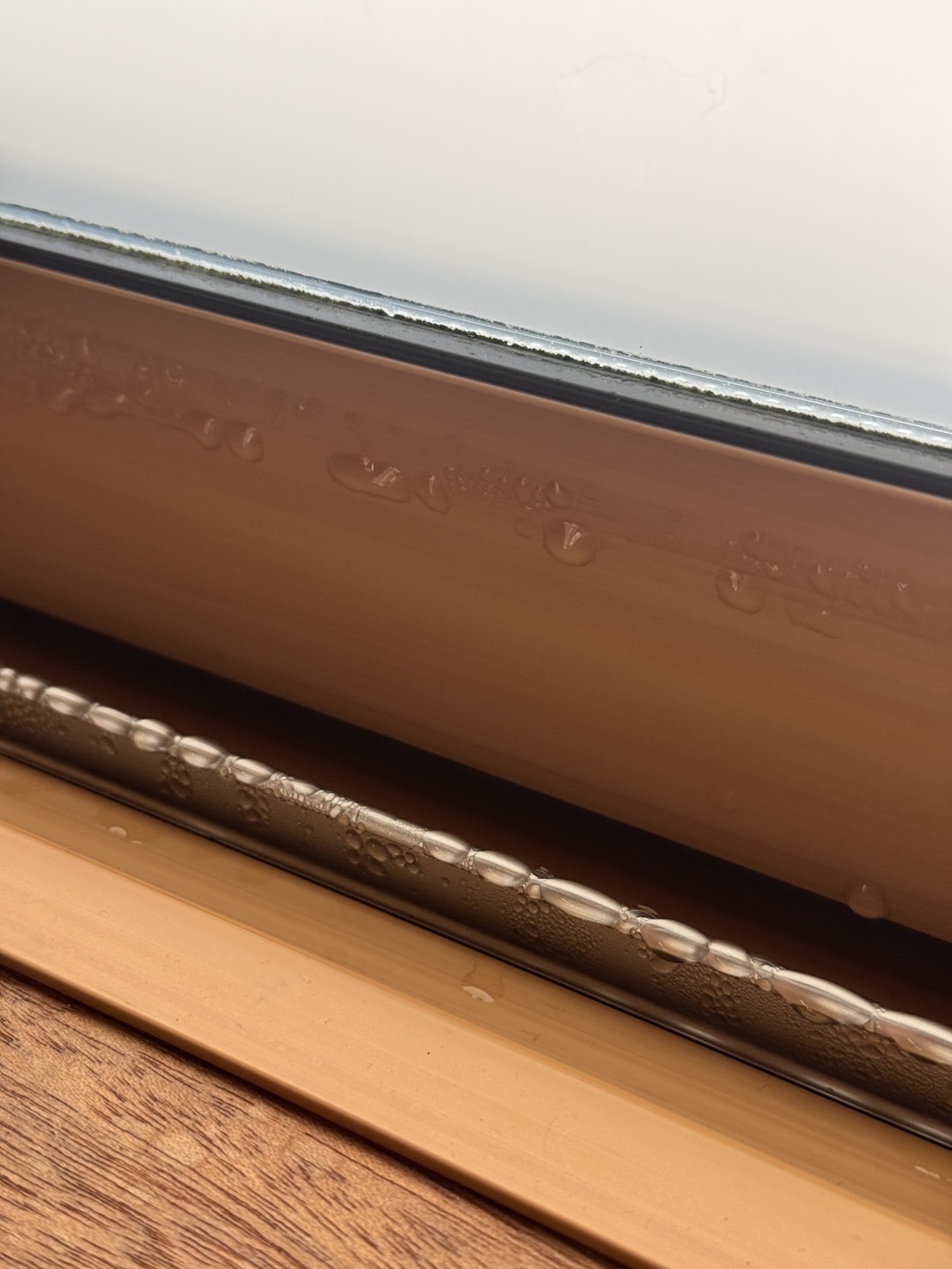 窓の結露の様子